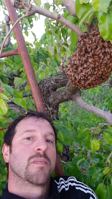 Gabriele accanto a uno sciame posato su un ramo
