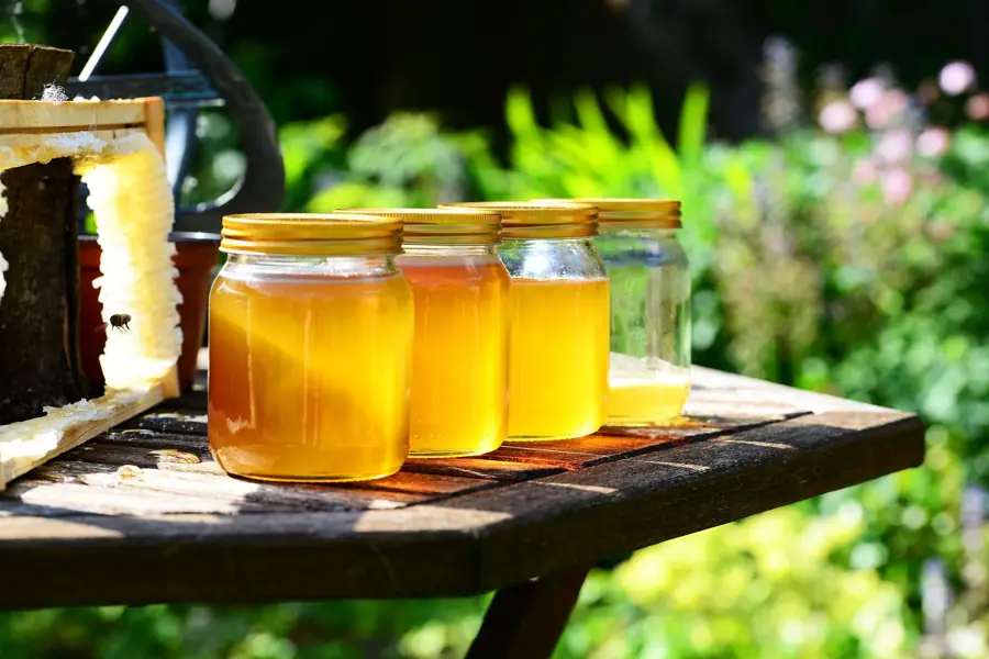 Apiario e natura a luglio
