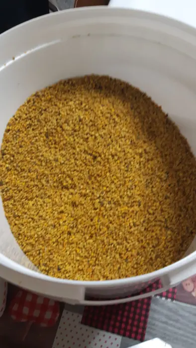 Polline d'api in granuli appena raccolto